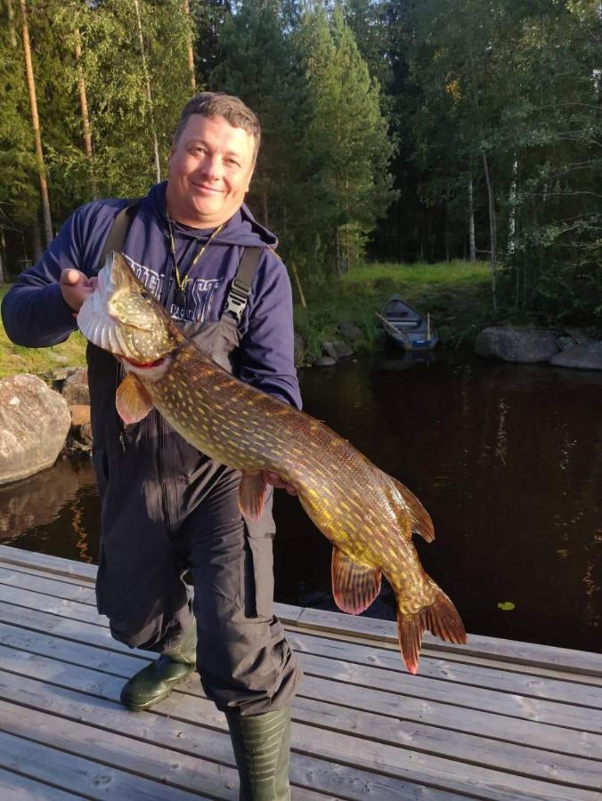 Viihtyisae Hirsimoekki Jaerven Rannalla Siikainen Экстерьер фото